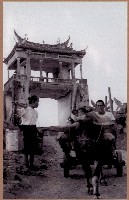 藏品(美濃水牛哥過東門)的圖片
