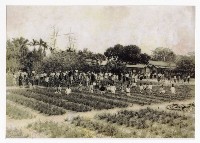 藏品(高雄州萬丹公學校-1)的圖片