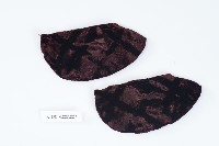 藏品(三寸金蓮襪1雙)的圖片