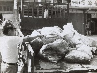 藏品()的圖片