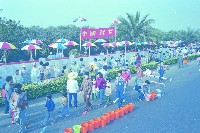 藏品()的圖片