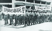 藏品()的圖片