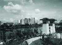 藏品()的圖片