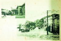 藏品()的圖片