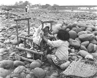 藏品(鄉間生活-1)的圖片