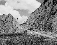 藏品(鄉間生活-6)的圖片