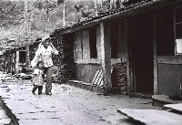 藏品(原住民生活-3)的圖片