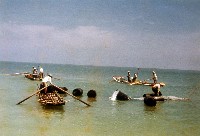 藏品(防坡提工程水上鋪沈床)的圖片