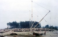 藏品(護岸工程之懸樁場地)的圖片