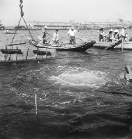 藏品(水中鑽孔)的圖片