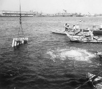 藏品(投裝水中模板)的圖片