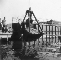 藏品(放置積累石子)的圖片