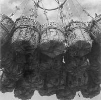 藏品(簍裝香蕉吊離碼頭裝船)的圖片