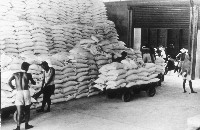 藏品(倉內人力卸車板堆積)的圖片