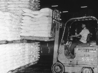 藏品(倉內堆高機堆高)的圖片