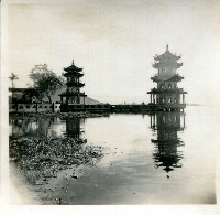 藏品()的圖片