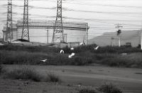 藏品(大林蒲鄰近工業區一景)的圖片