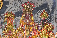 藏品(邦坑龍鳳宮祀神)的圖片