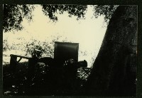 藏品(大林蒲-3)的圖片