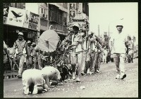 藏品(鳳林宮遶境-13)的圖片