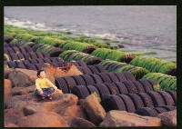 藏品(大林蒲濱海公園海岸-1)的圖片