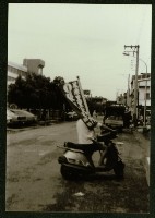 藏品(鳳源里里長選舉)的圖片