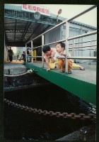 藏品(紅毛港輪渡站)的圖片