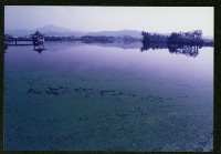 藏品(美濃中正湖)的圖片