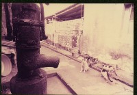 藏品(鹽埕頭生活風貌-2)的圖片