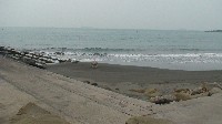 藏品(大林蒲濱海公園「南星計畫」之人工沙灘-3)的圖片