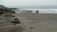 藏品(海上電影院-2)的圖片