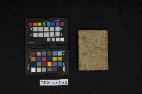 藏品(《分類文科大醕》)的圖片