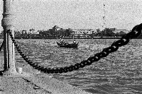 藏品(前高雄州廳遺影)的圖片