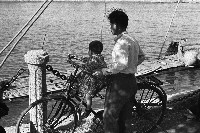 藏品(注視愛河-1)的圖片