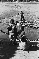 藏品(孩童看捕魚-2)的圖片