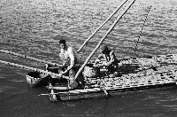 藏品(愛河捕魚情景-1)的圖片