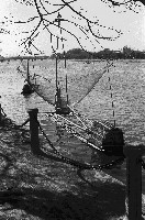 藏品(愛河捕魚情景-3)的圖片