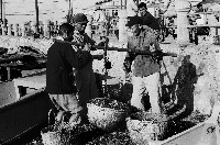 藏品(愛河邊的小型漁獲市場-1)的圖片