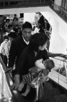 藏品(大新百貨公司的電動手扶梯-2)的圖片