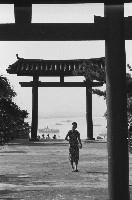 藏品(高雄忠烈祠牌樓)的圖片