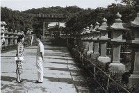 藏品(高雄忠烈祠中軸線參道的男女)的圖片