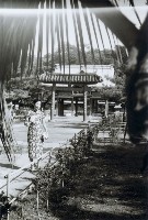 藏品(高雄市忠烈祠中軸線參道的旗袍女性-2)的圖片