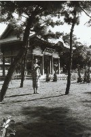 藏品(高雄市忠烈祠拜殿前的旗袍女性-2)的圖片