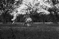 藏品(高雄郊區路上的4名農婦)的圖片