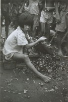 藏品(處理植物的女童)的圖片