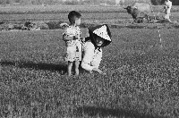 藏品(稻田中的農婦與男童)的圖片