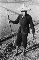 藏品(農夫手持鋤頭站在田邊)的圖片