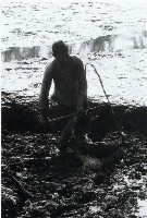 藏品(高雄鄉間農作景象-2)的圖片