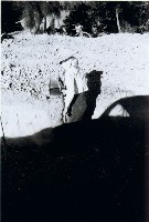 藏品(高雄鄉間農作景象-7)的圖片