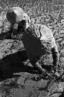 藏品(高雄鄉間農作景象-25)的圖片